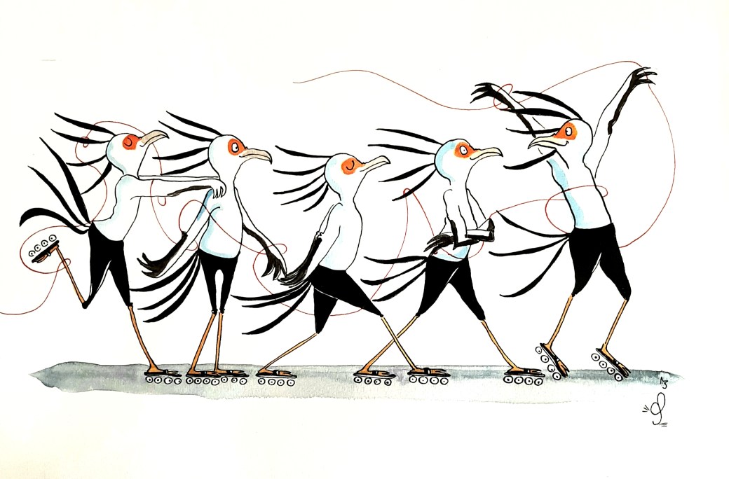 Vogels op rolschaatsen